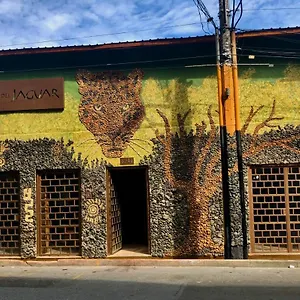 refugio-del-jaguar.colombiamedellinhotels.com/
